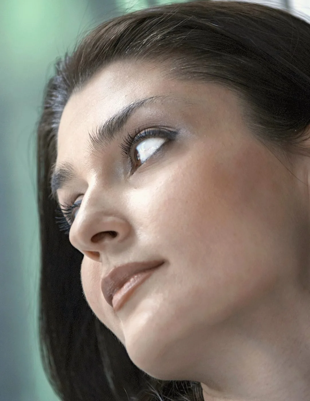 Facial aesthetic assessment portrait